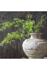 Fern Branch, Soft Green