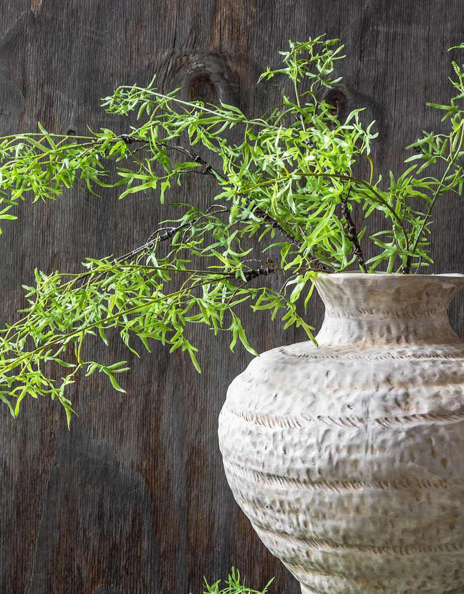 Fern Branch, Soft Green