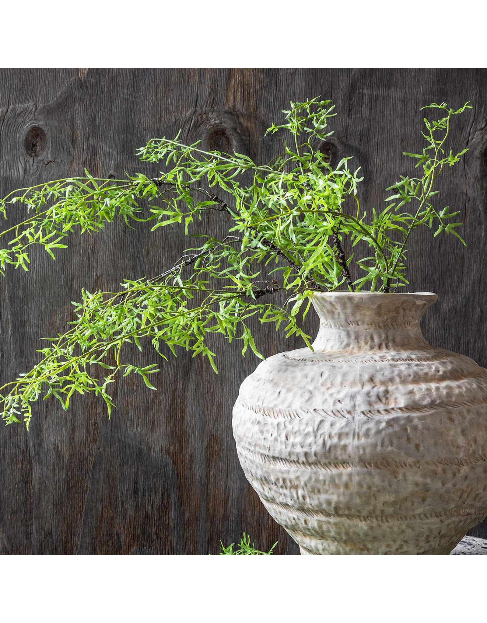 Fern Branch, Soft Green