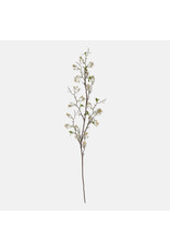 Wild Cherry Blossom