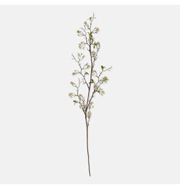 Wild Cherry Blossom