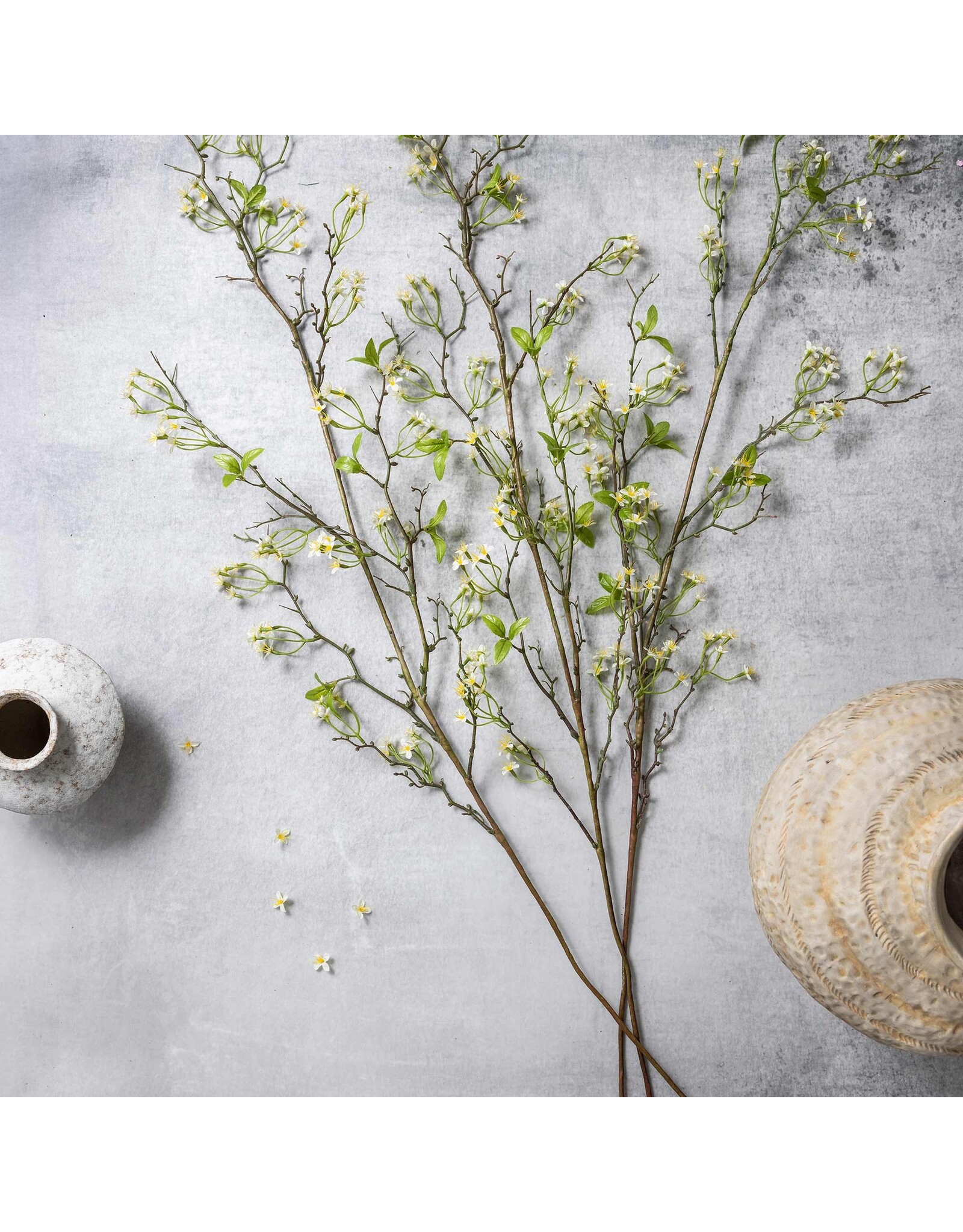 Wild Cherry Blossom