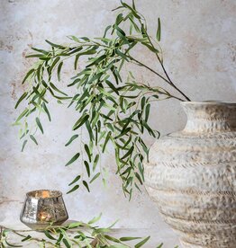 Willow Branch, Forest Green