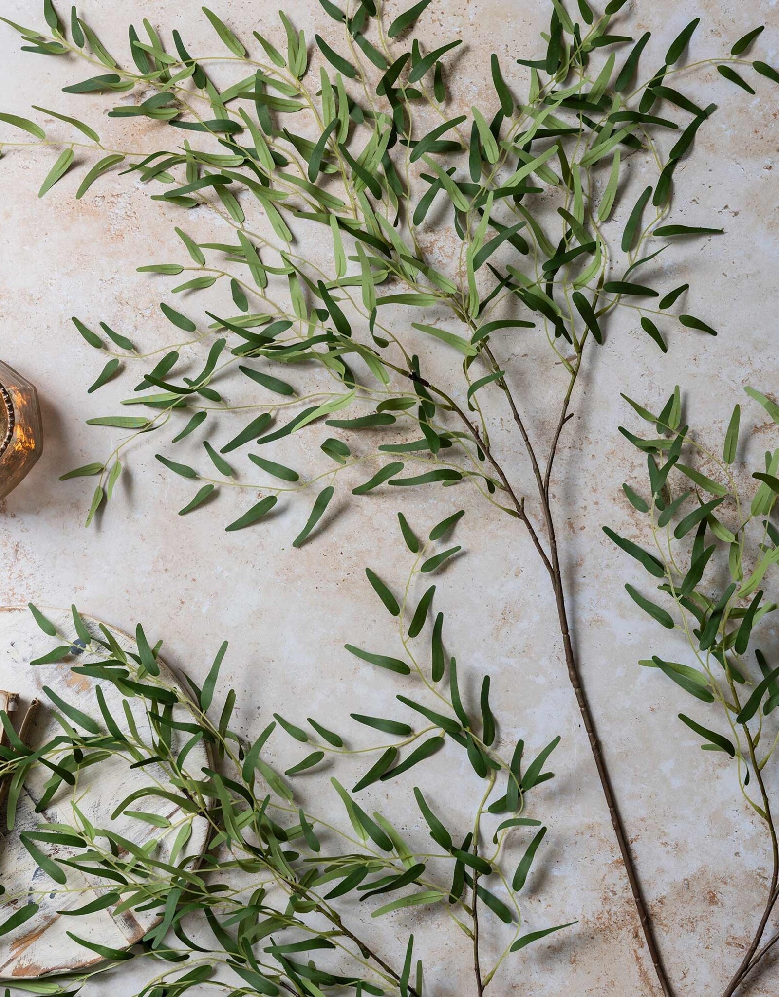 Willow Branch, Forest Green