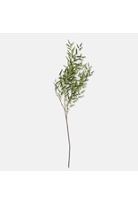 Willow Branch, Forest Green
