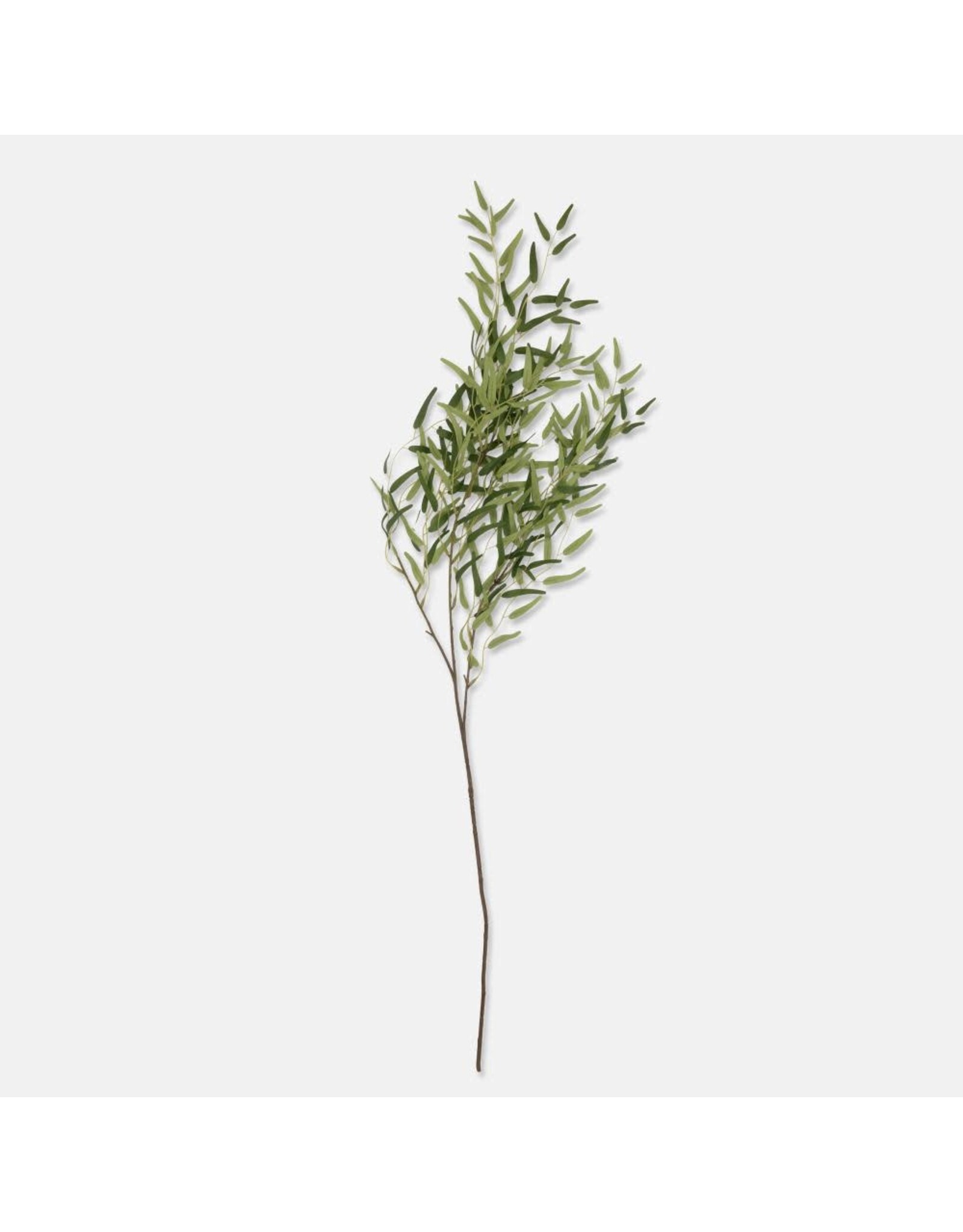 Willow Branch, Forest Green