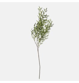 Willow Branch, Forest Green