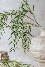 Willow Branch, Forest Green