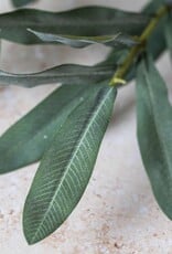 Olive Branch, Soft Green