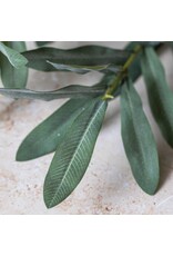 Olive Branch, Soft Green