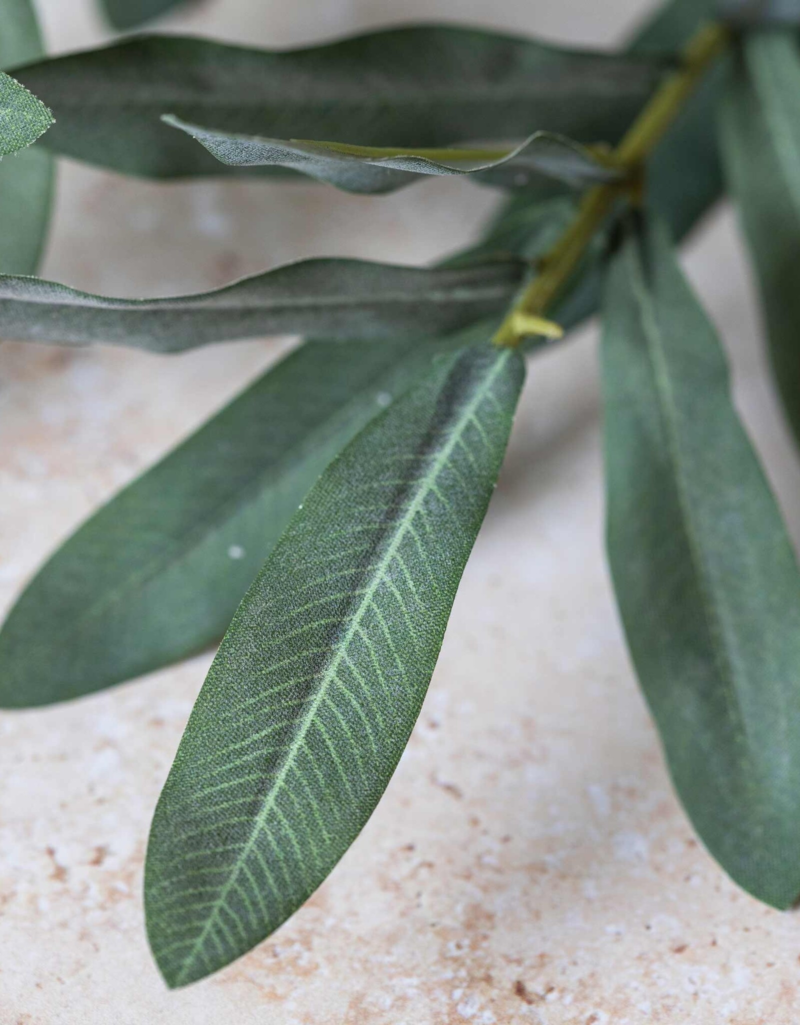 Olive Branch, Soft Green