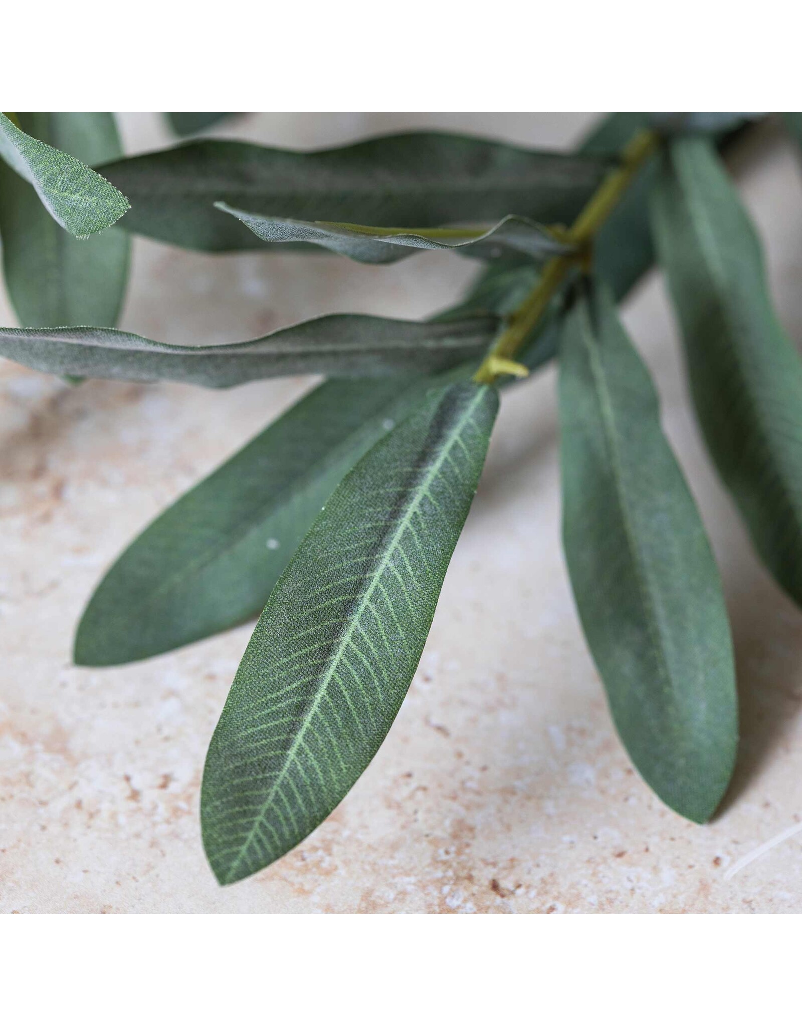 Olive Branch, Soft Green