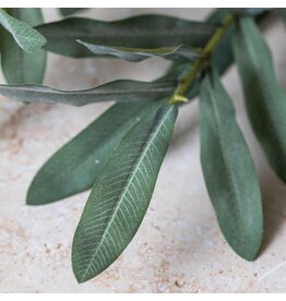 Olive Branch, Soft Green