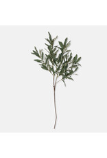 Olive Branch, Soft Green
