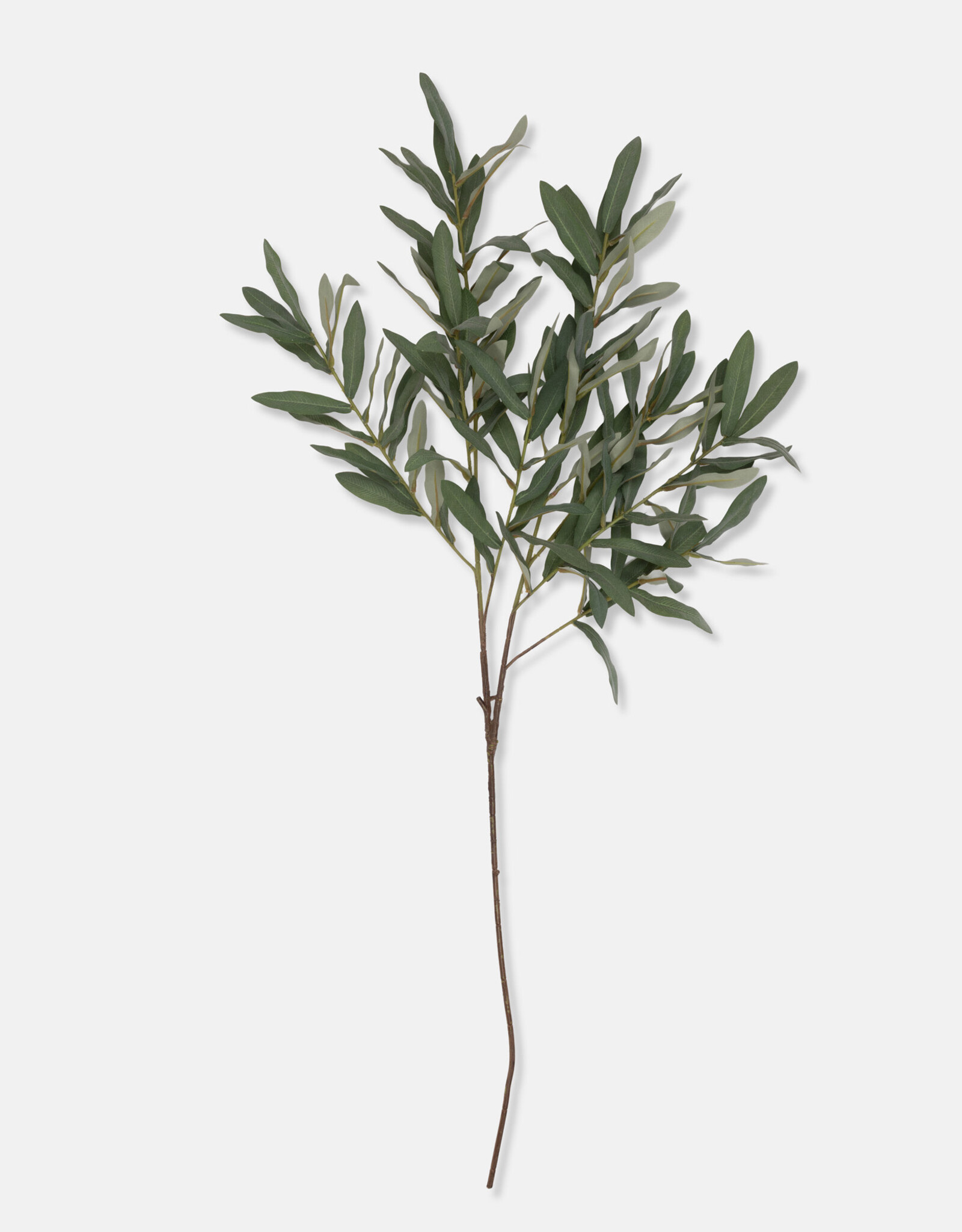 Olive Branch, Soft Green