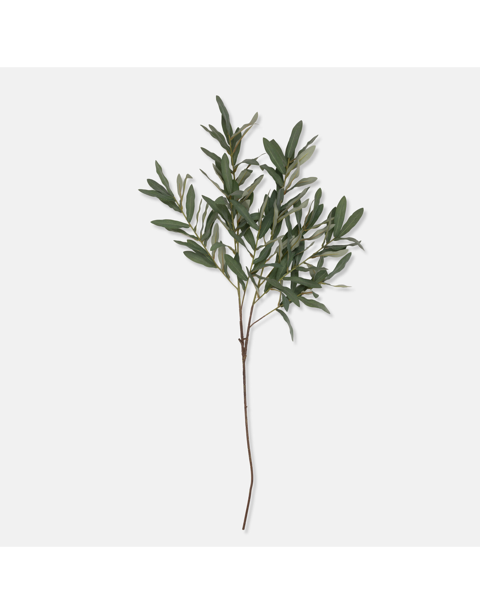 Olive Branch, Soft Green