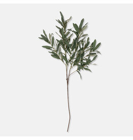 Olive Branch, Soft Green