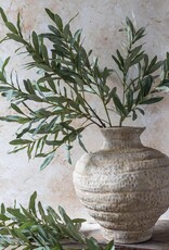 Olive Branch, Soft Green