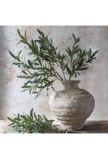 Olive Branch, Soft Green