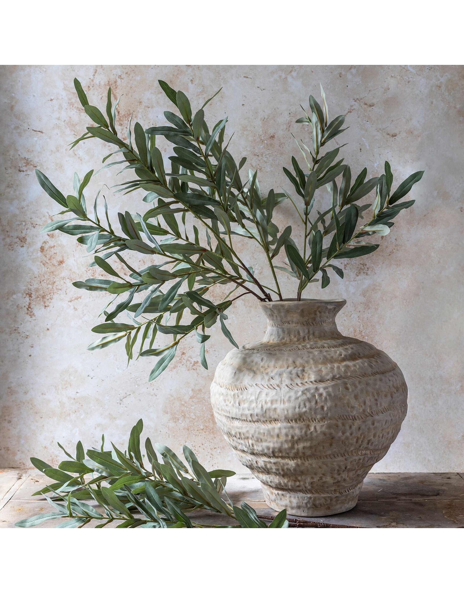 Olive Branch, Soft Green