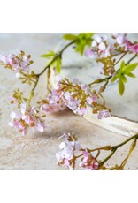 Cherry Blossom, Pink