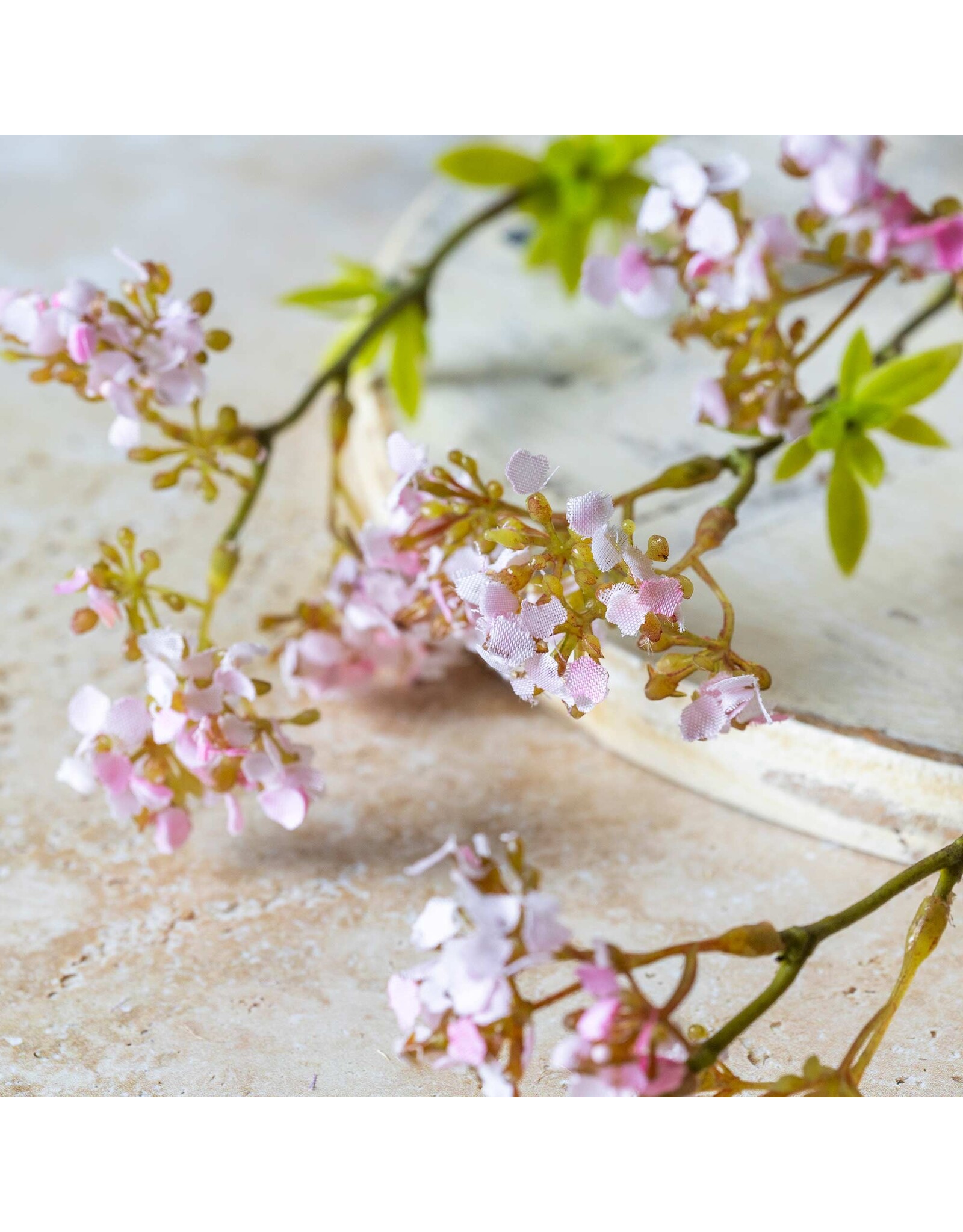 Cherry Blossom, Pink