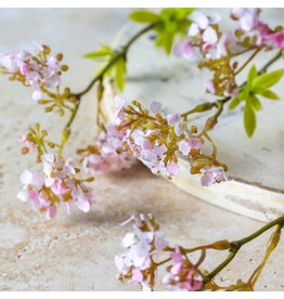 Cherry Blossom, Pink