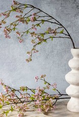 Cherry Blossom, Pink