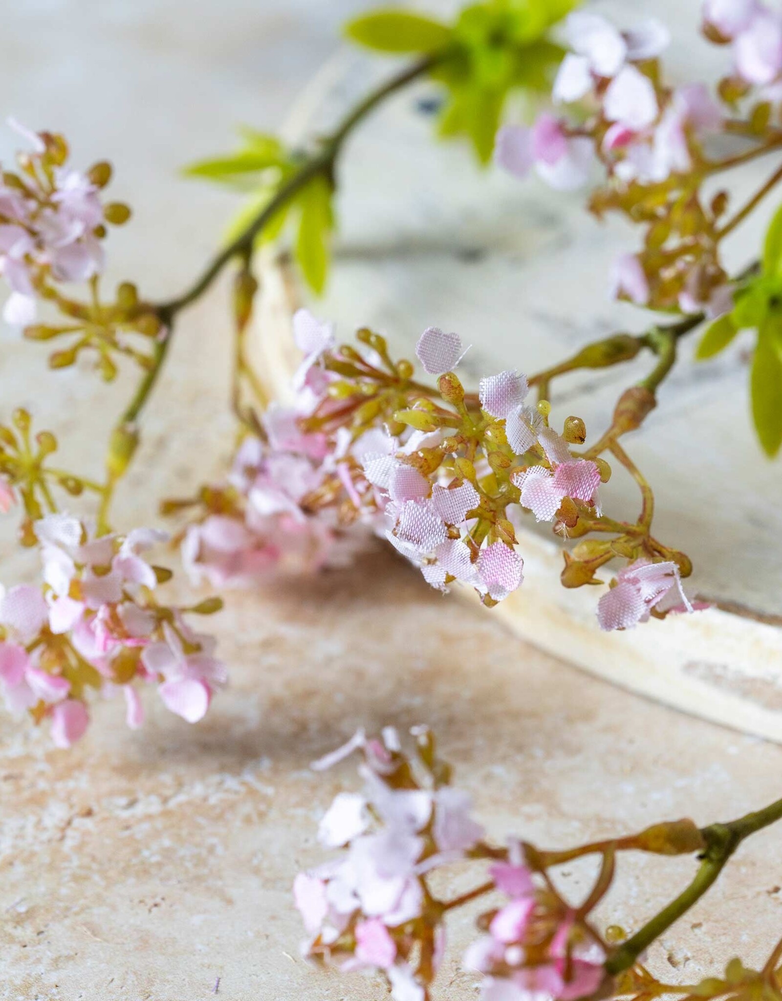 Cherry Blossom, Pink