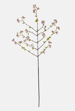 Cherry Blossom, Pink