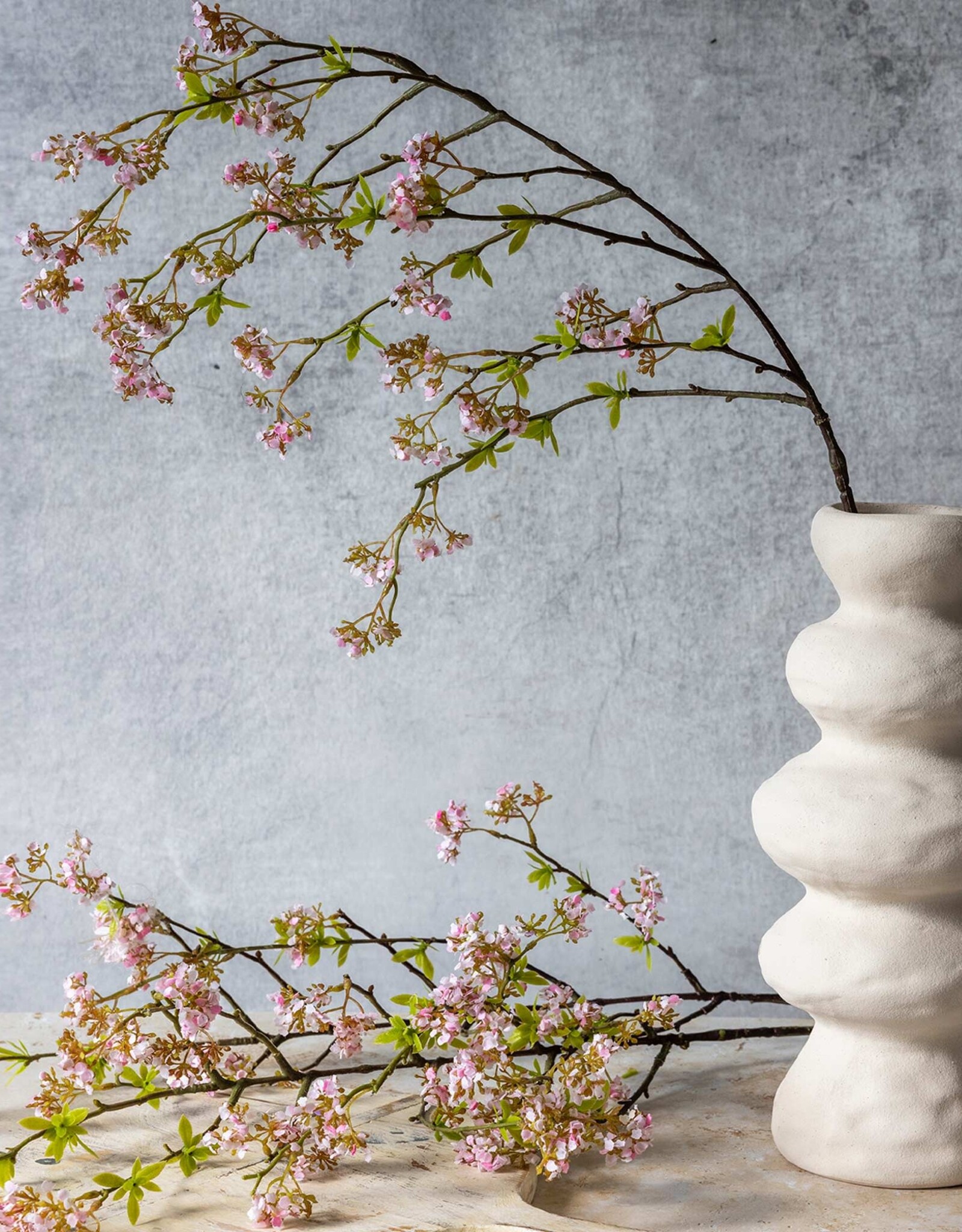 Cherry Blossom, Pink