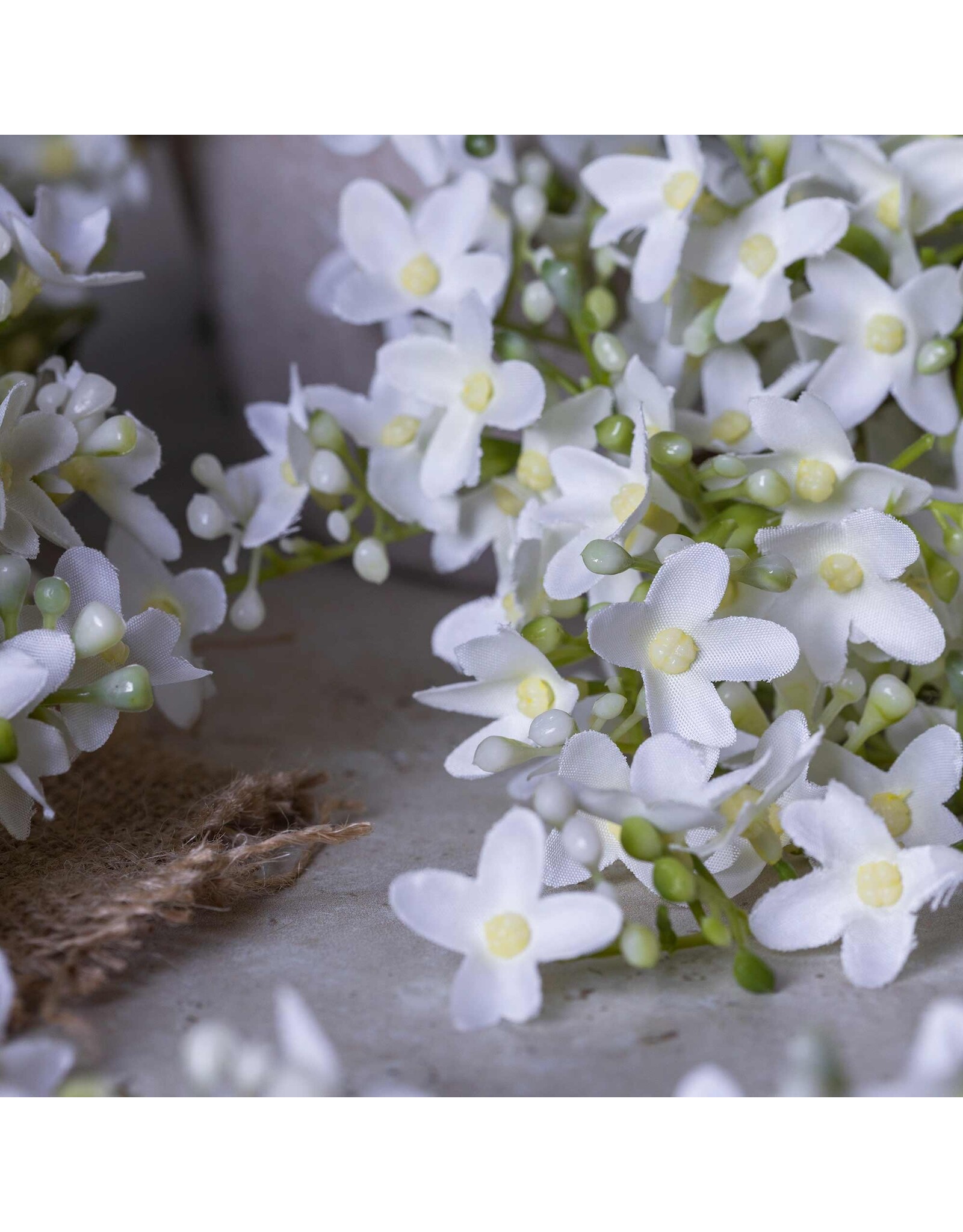 Lilac Stem, White