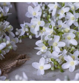 Lilac Stem, White