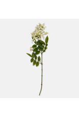 Lilac Stem, White