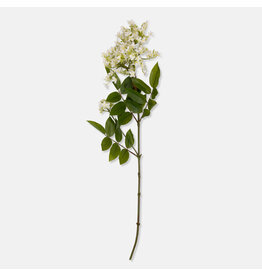 Lilac Stem, White