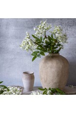 Lilac Stem, White