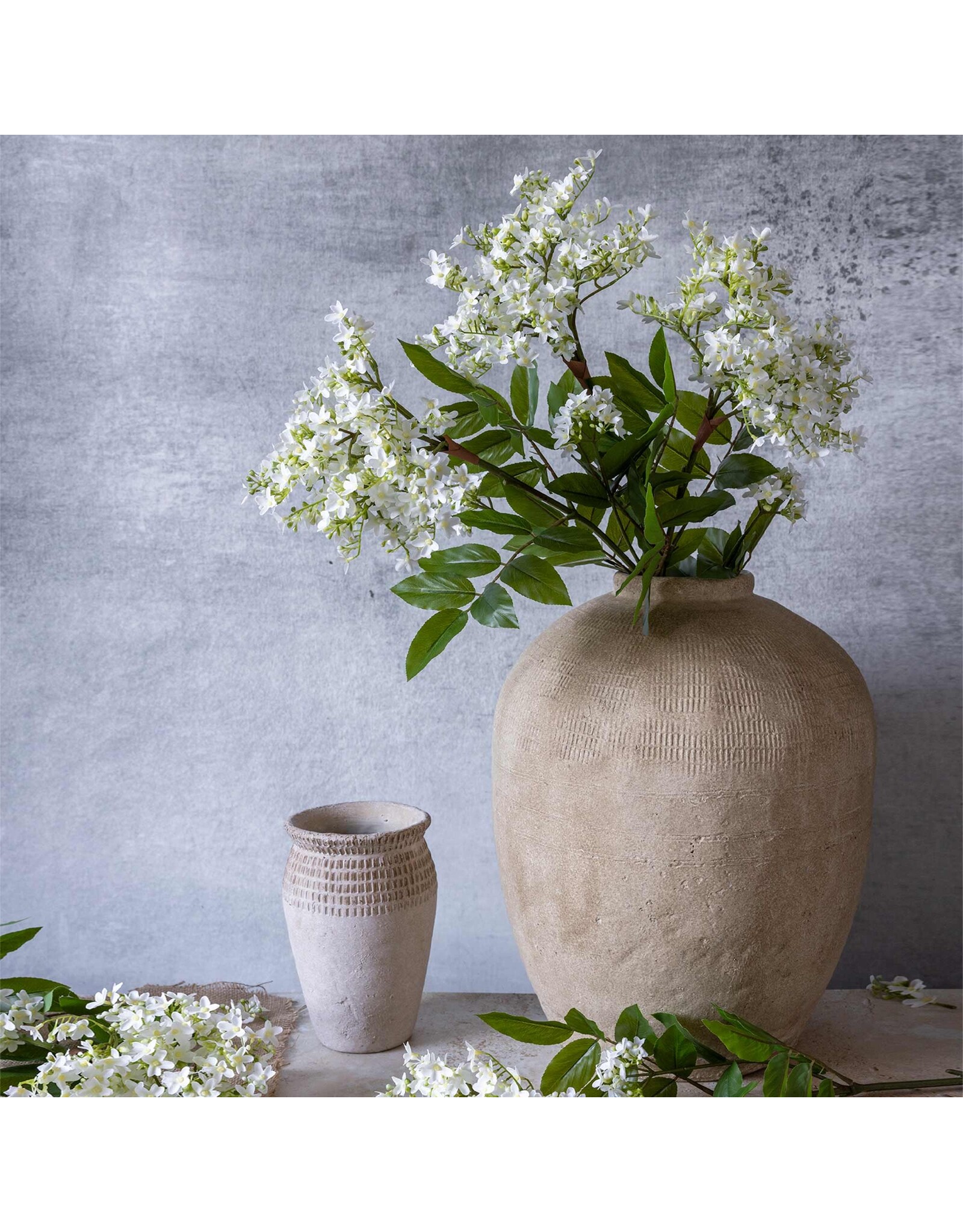 Lilac Stem, White