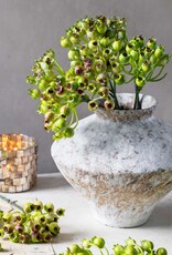 Rosehip Bunch, Olive