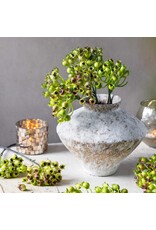 Rosehip Bunch, Olive