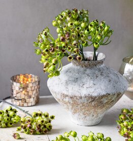 Rosehip Bunch, Olive