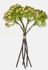 Rosehip Bunch, Olive