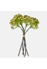 Rosehip Bunch, Olive