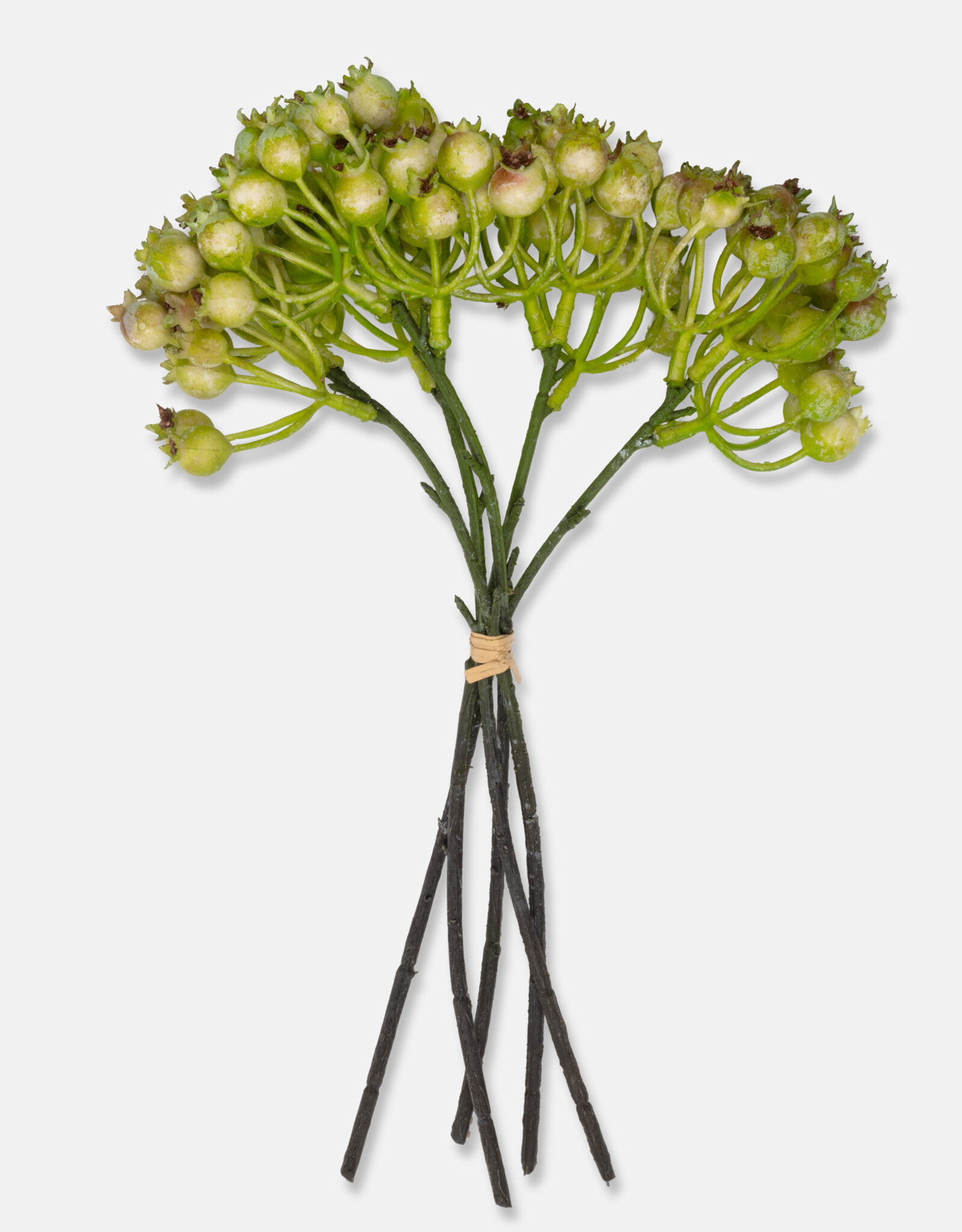 Rosehip Bunch, Olive