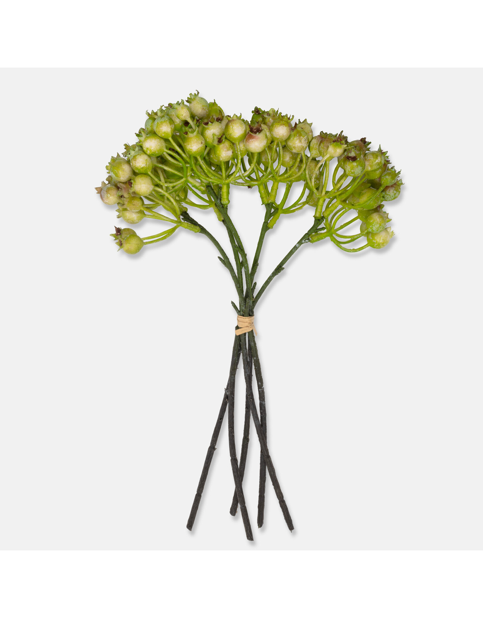 Rosehip Bunch, Olive