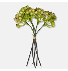 Rosehip Bunch, Olive