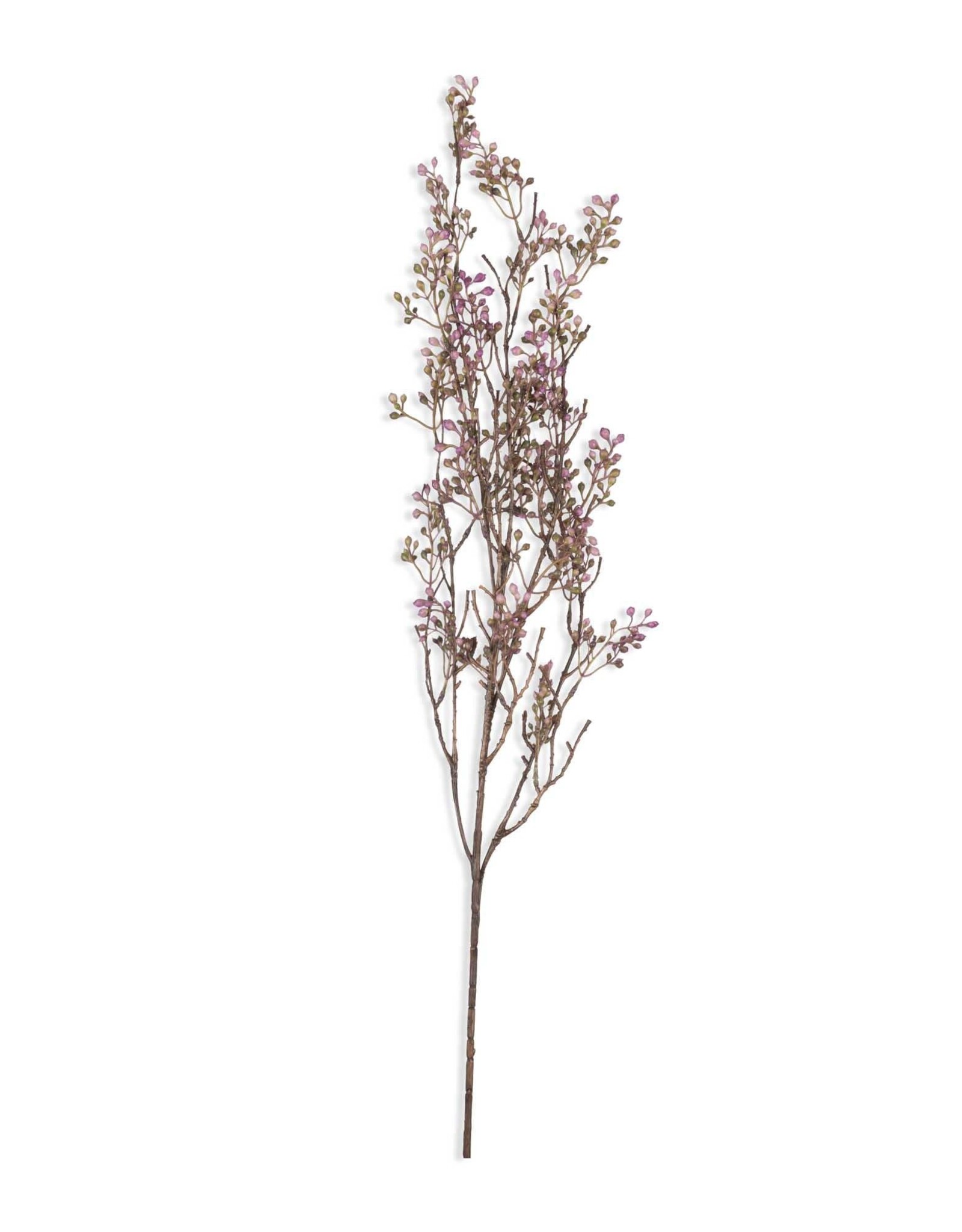 Berry Branch, Lilac