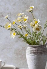 Cosmos Meadow, Buttermilk