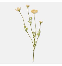 Cosmos Meadow, Buttermilk