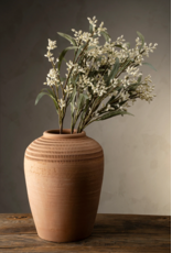 Flowering Eucalyptus Branch