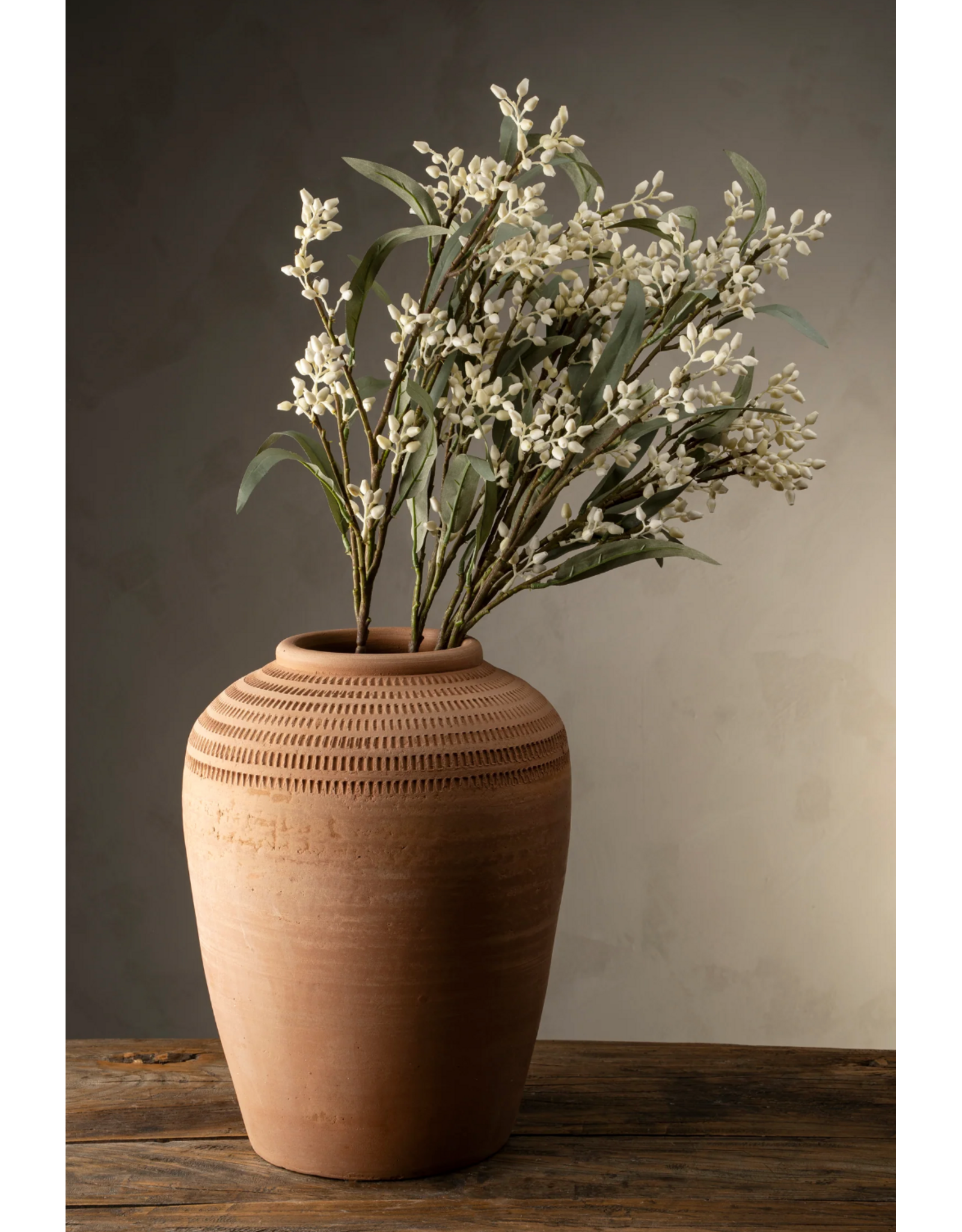Flowering Eucalyptus Branch